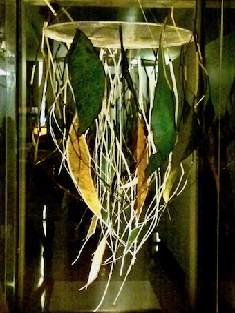 Lungs of The Earth [ front window of The Centre Gallery]